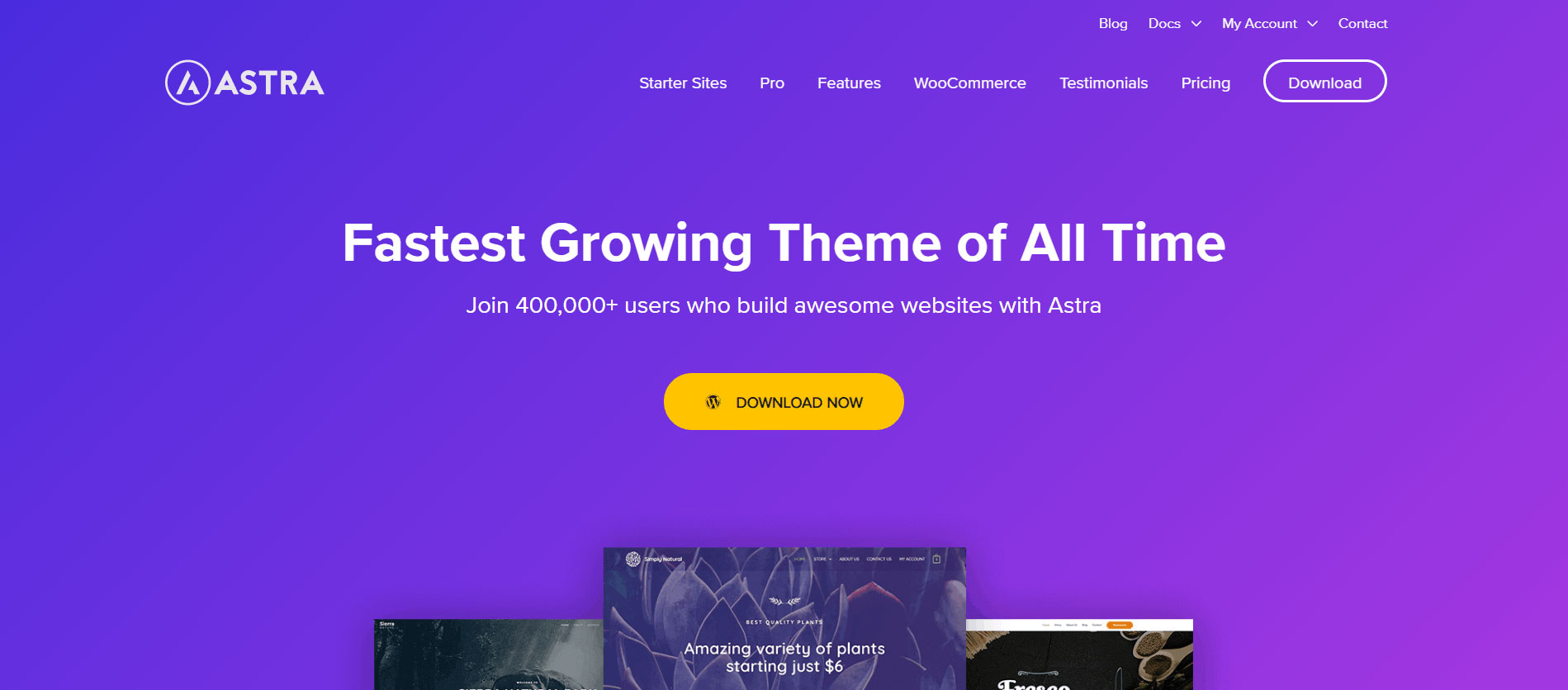 Astra Theme | Best Elementor themes