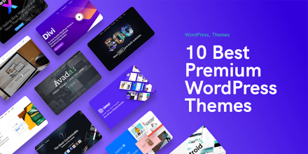 Best Premium WordPress Themes