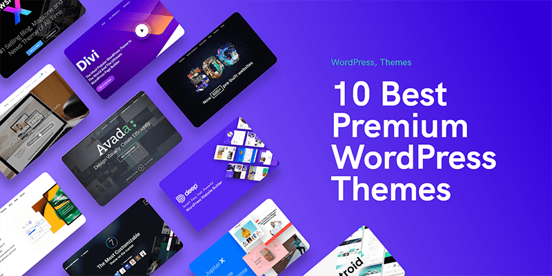 best wordpress premium themes