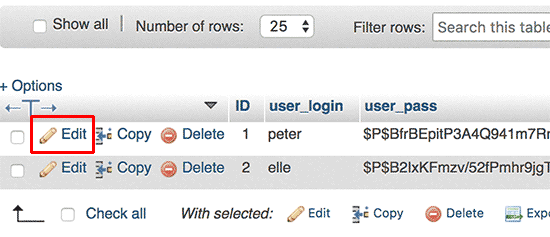 Database | Locked Out of WordPress Admin | Most Common WordPress Errors