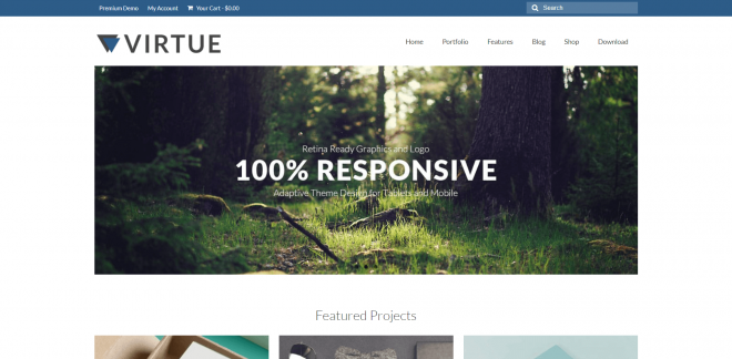 Virtue | Best Free WooCommerce WordPress Themes